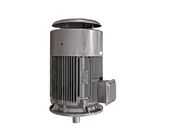 IP55 ultrahoog rendement Elektrische Motor, YE4-Reeks 3 de Motor van de Faseinductie
